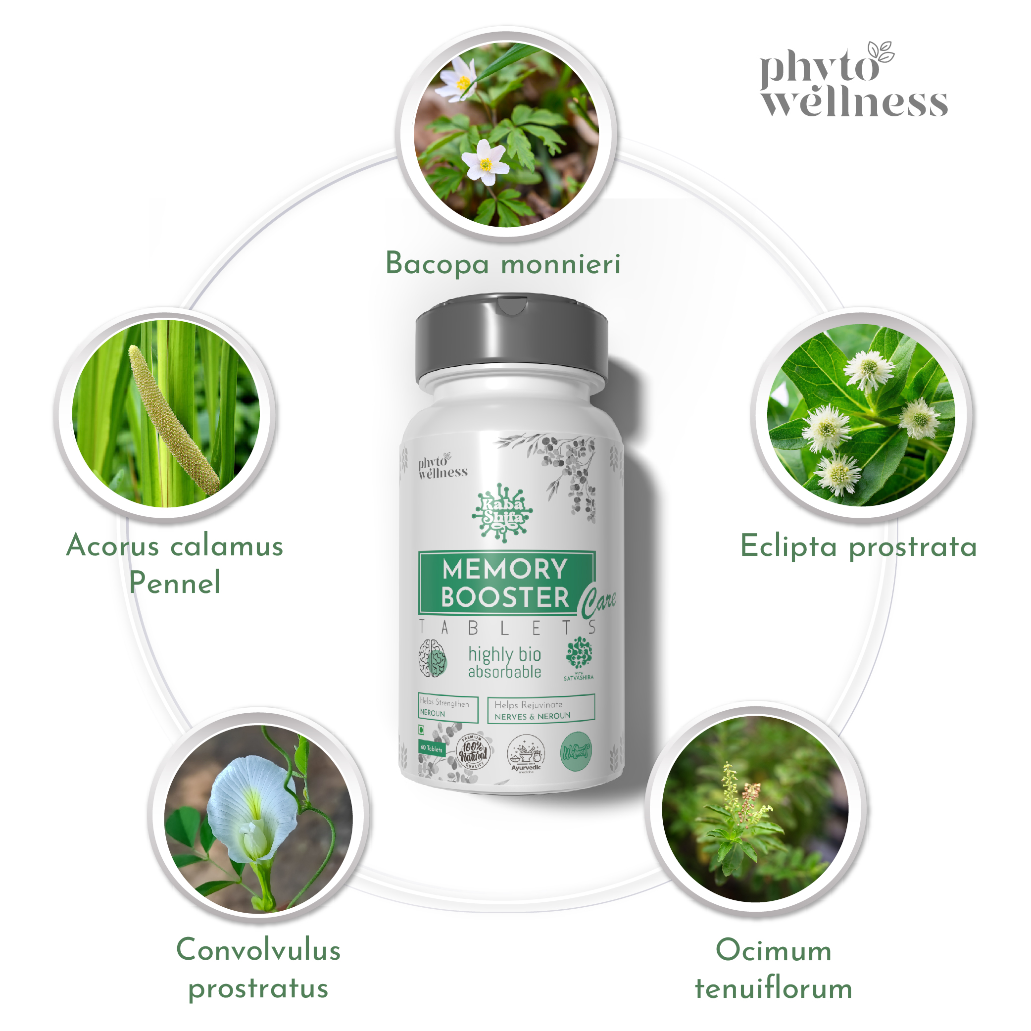 Probiotic Memory Booster 60 Tablets (HS00617)